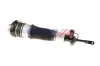 Luftfederbein BOGAP A3426102 Bild Luftfederbein BOGAP A3426102