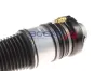 Luftfederbein BOGAP A3426102 Bild Luftfederbein BOGAP A3426102