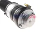Luftfederbein BOGAP A3426103 Bild Luftfederbein BOGAP A3426103