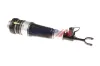 Luftfederbein BOGAP A3426103 Bild Luftfederbein BOGAP A3426103