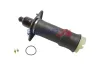 Luftfeder, Fahrwerk BOGAP A3426122