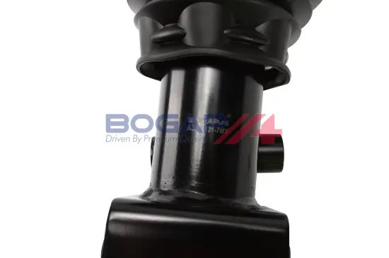 Luftfederbein vorne links BOGAP A3426131 Bild Luftfederbein vorne links BOGAP A3426131