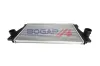 Ladeluftkühler BOGAP A4220146 Bild Ladeluftkühler BOGAP A4220146