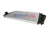 Ladeluftkühler BOGAP A4220146 Bild Ladeluftkühler BOGAP A4220146