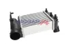 Ladeluftkühler BOGAP A4220151 Bild Ladeluftkühler BOGAP A4220151