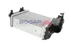 Ladeluftkühler BOGAP A4220151 Bild Ladeluftkühler BOGAP A4220151