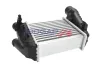 Ladeluftkühler BOGAP A4220165 Bild Ladeluftkühler BOGAP A4220165