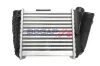 Ladeluftkühler BOGAP A4220165 Bild Ladeluftkühler BOGAP A4220165