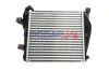 Ladeluftkühler BOGAP A4220166 Bild Ladeluftkühler BOGAP A4220166