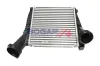 Ladeluftkühler BOGAP A4220166 Bild Ladeluftkühler BOGAP A4220166