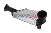 Ladeluftkühler BOGAP A4220166 Bild Ladeluftkühler BOGAP A4220166