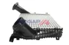 Ladeluftkühler BOGAP A4220166 Bild Ladeluftkühler BOGAP A4220166