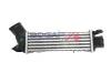 Ladeluftkühler BOGAP A4220179 Bild Ladeluftkühler BOGAP A4220179