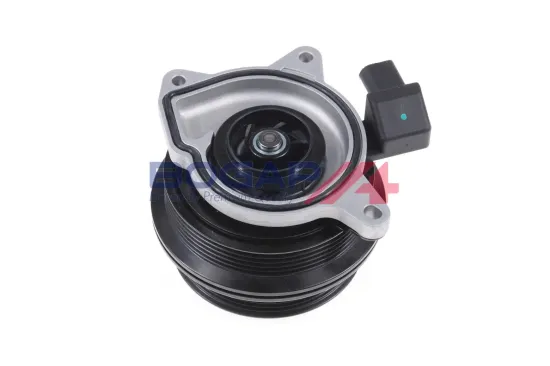 Wasserpumpe, Motorkühlung BOGAP A4234121 Bild Wasserpumpe, Motorkühlung BOGAP A4234121