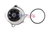 Wasserpumpe, Motorkühlung BOGAP A4234124 Bild Wasserpumpe, Motorkühlung BOGAP A4234124