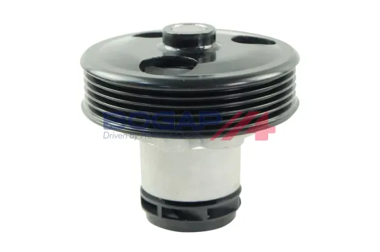 Wasserpumpe, Motorkühlung BOGAP A4234132 Bild Wasserpumpe, Motorkühlung BOGAP A4234132