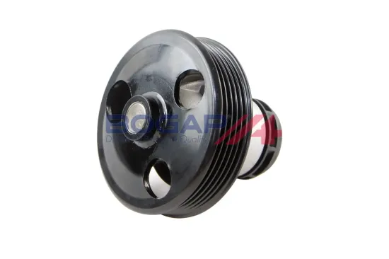 Wasserpumpe, Motorkühlung BOGAP A4234132 Bild Wasserpumpe, Motorkühlung BOGAP A4234132