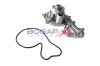 Wasserpumpe, Motorkühlung BOGAP A4234136 Bild Wasserpumpe, Motorkühlung BOGAP A4234136