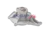 Wasserpumpe, Motorkühlung BOGAP A4234145 Bild Wasserpumpe, Motorkühlung BOGAP A4234145