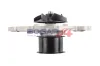 Wasserpumpe, Motorkühlung BOGAP A4234158 Bild Wasserpumpe, Motorkühlung BOGAP A4234158