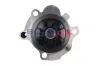 Wasserpumpe, Motorkühlung BOGAP A4234160 Bild Wasserpumpe, Motorkühlung BOGAP A4234160
