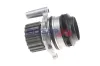 Wasserpumpe, Motorkühlung BOGAP A4234161 Bild Wasserpumpe, Motorkühlung BOGAP A4234161