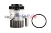 Wasserpumpe, Motorkühlung BOGAP A4234162 Bild Wasserpumpe, Motorkühlung BOGAP A4234162