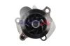 Wasserpumpe, Motorkühlung BOGAP A4234162 Bild Wasserpumpe, Motorkühlung BOGAP A4234162