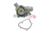Wasserpumpe, Motorkühlung BOGAP A4234169 Bild Wasserpumpe, Motorkühlung BOGAP A4234169