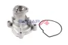 Wasserpumpe, Motorkühlung BOGAP A4234178 Bild Wasserpumpe, Motorkühlung BOGAP A4234178