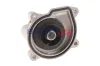 Wasserpumpe, Motorkühlung BOGAP A4234186 Bild Wasserpumpe, Motorkühlung BOGAP A4234186