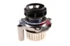 Wasserpumpe, Motorkühlung BOGAP A4234188 Bild Wasserpumpe, Motorkühlung BOGAP A4234188