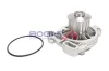 Wasserpumpe, Motorkühlung BOGAP A4234212 Bild Wasserpumpe, Motorkühlung BOGAP A4234212