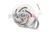 Wasserpumpe, Motorkühlung BOGAP A4234212 Bild Wasserpumpe, Motorkühlung BOGAP A4234212