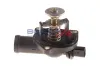 Thermostat, Kühlmittel BOGAP A4245132