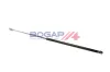 Gasfeder, Motorhaube beidseitig BOGAP A5134123
