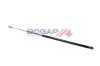 Gasfeder, Motorhaube beidseitig BOGAP A5134123 Bild Gasfeder, Motorhaube beidseitig BOGAP A5134123
