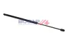 Gasfeder, Motorhaube beidseitig BOGAP A5134158 Bild Gasfeder, Motorhaube beidseitig BOGAP A5134158