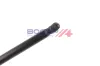Gasfeder, Motorhaube beidseitig BOGAP A5134177 Bild Gasfeder, Motorhaube beidseitig BOGAP A5134177