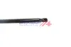 Gasfeder, Motorhaube beidseitig BOGAP A5134185 Bild Gasfeder, Motorhaube beidseitig BOGAP A5134185