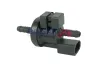 Be-/Entlüftungsventil, Kraftstofftank 12 V BOGAP A6316102