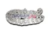 Steuerkette BOGAP B1310130