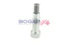 Spanner, Steuerkette BOGAP B1312101 Bild Spanner, Steuerkette BOGAP B1312101