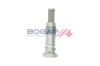 Spanner, Steuerkette BOGAP B1312102 Bild Spanner, Steuerkette BOGAP B1312102