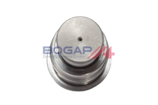 Spanner, Steuerkette BOGAP B1312111 Bild Spanner, Steuerkette BOGAP B1312111
