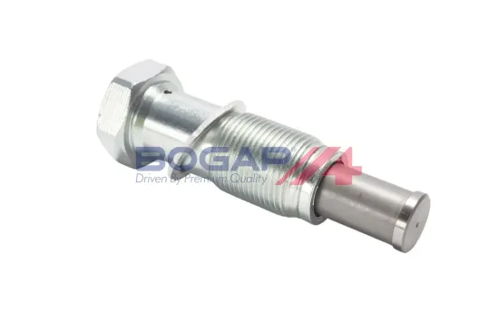 Spanner, Steuerkette BOGAP B1312119 Bild Spanner, Steuerkette BOGAP B1312119