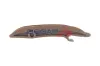 Gleitschiene, Steuerkette BOGAP B1313114 Bild Gleitschiene, Steuerkette BOGAP B1313114