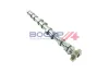 Nockenwelle BOGAP B1331101 Bild Nockenwelle BOGAP B1331101