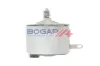 Stellelement, Exzenterwelle (variabler Ventilhub) BOGAP B1350101