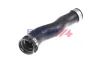 Ladeluftschlauch BOGAP B1711137 Bild Ladeluftschlauch BOGAP B1711137